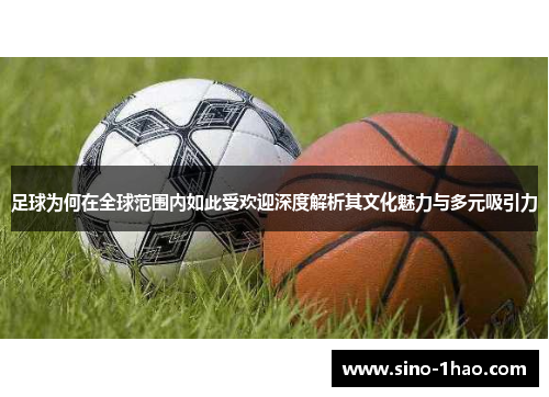足球为何在全球范围内如此受欢迎深度解析其文化魅力与多元吸引力