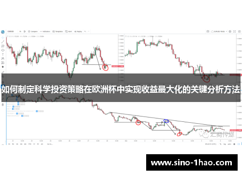 如何制定科学投资策略在欧洲杯中实现收益最大化的关键分析方法