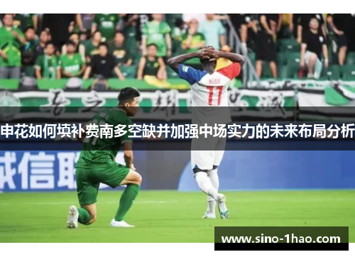 申花如何填补费南多空缺并加强中场实力的未来布局分析