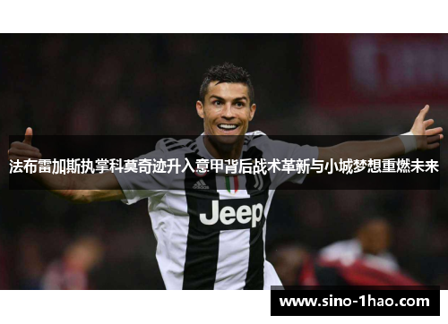 法布雷加斯执掌科莫奇迹升入意甲背后战术革新与小城梦想重燃未来