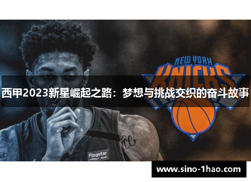 西甲2023新星崛起之路：梦想与挑战交织的奋斗故事